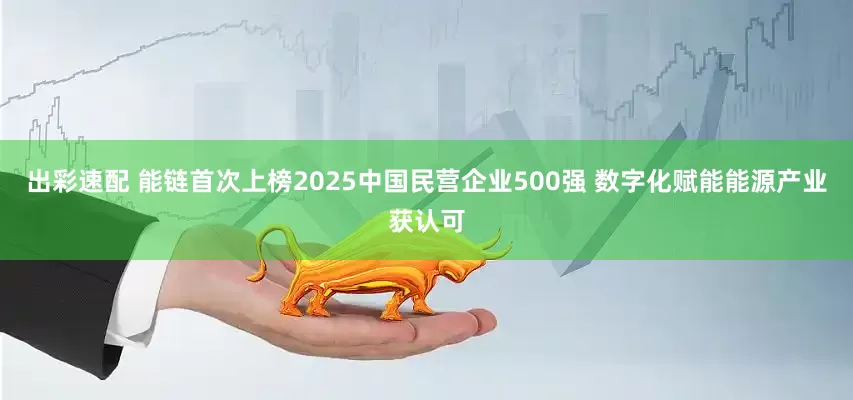 出彩速配 能链首次上榜2025中国民营企业500强 数字化赋能能源产业获认可