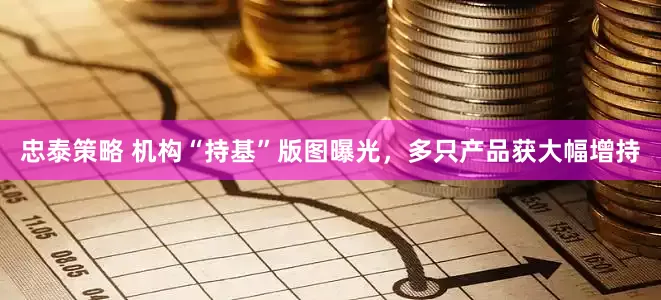 忠泰策略 机构“持基”版图曝光，多只产品获大幅增持
