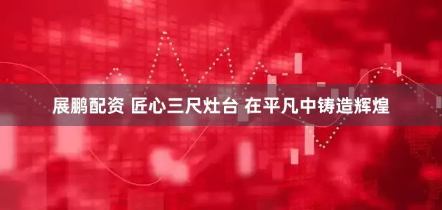 展鹏配资 匠心三尺灶台 在平凡中铸造辉煌